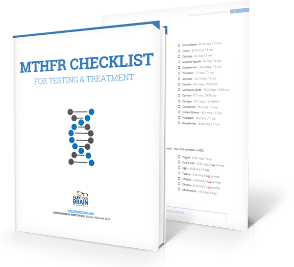 MTHFR-check-list-book-and-grocery-list-together