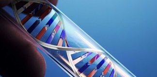 mthfr-gene-mutation-testing-and-treatment-dna-vial